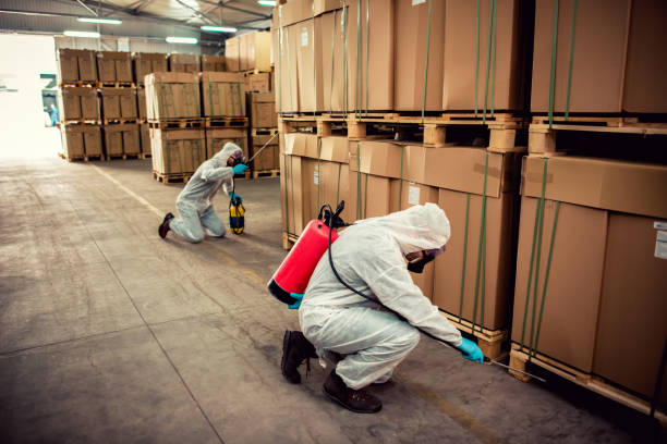 Best Residential Pest Control  in Auburn, IL