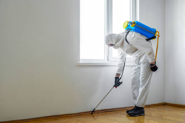 Best Best Pest Control Companies  in Auburn, IL