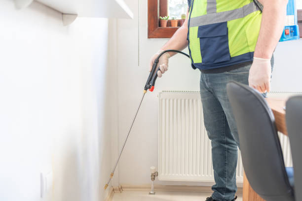 Best Affordable Pest Control Services  in Auburn, IL