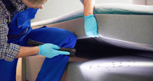 Best Rat Extermination Near Me  in Auburn, IL