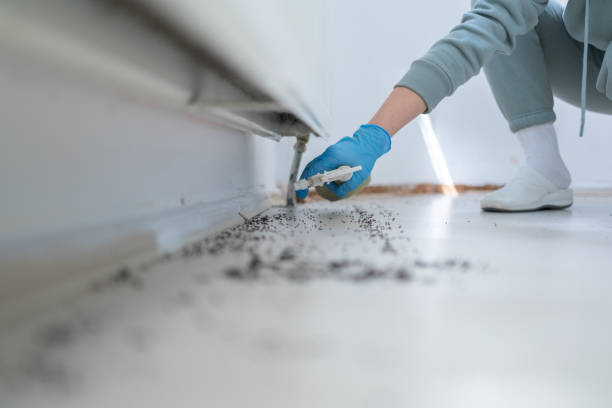 Best Pest Inspection Near Me  in Auburn, IL