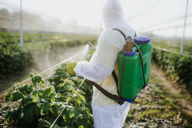 Best Commercial Pest Control Services  in Auburn, IL